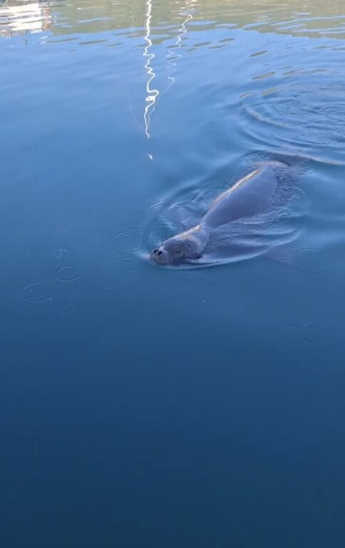 2ef3e0a9-3bc7-46fa-afd4-b0d8a3195322