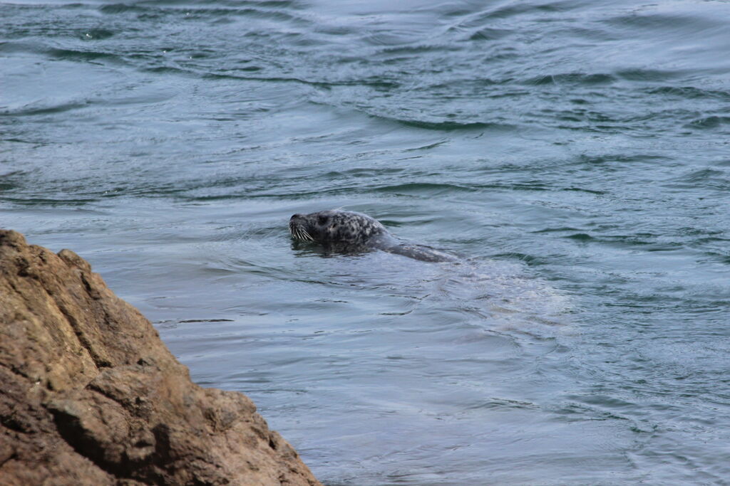 539816a2-ff66-4746-b746-d4945a2dcccc