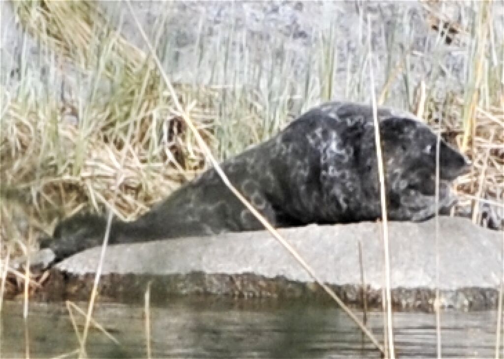 62488599-3b89-4102-82ae-6d70ef31bcac