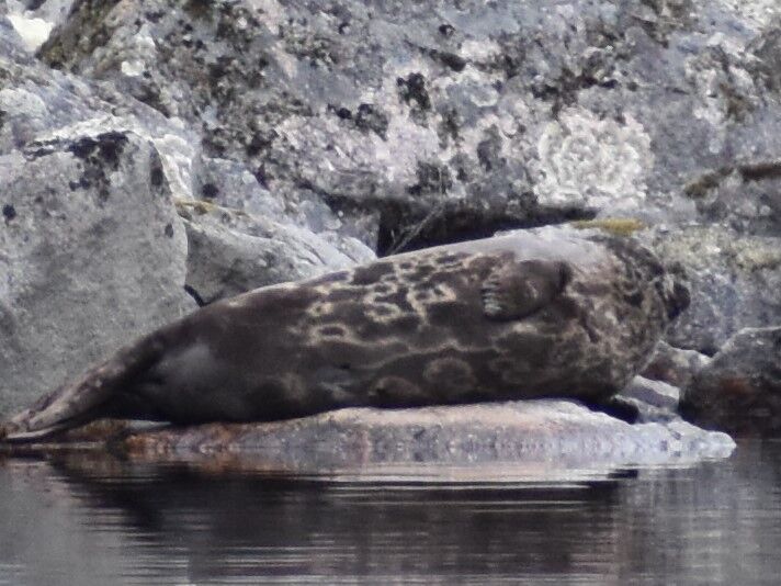 6db223a9-d25c-40a8-9d81-68c6de5406d5