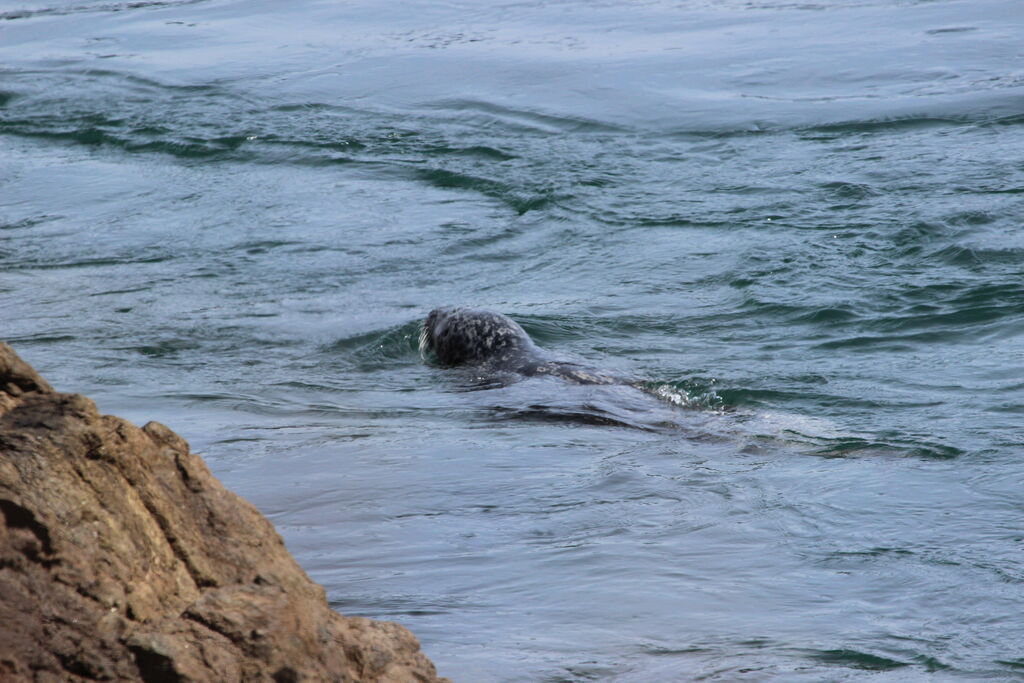 539816a2-ff66-4746-b746-d4945a2dcccc