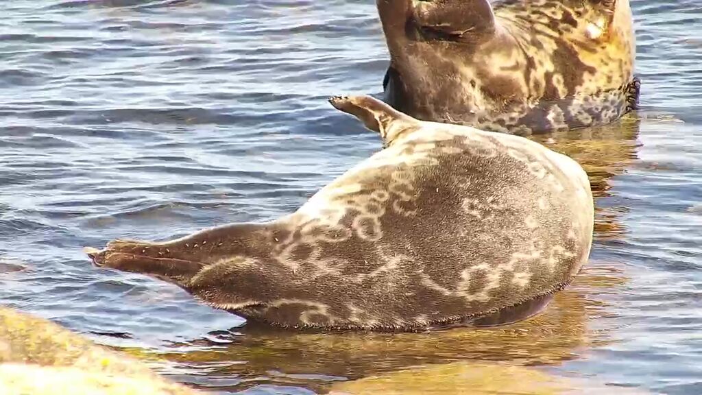 2aa64269-f47a-48b1-a90f-32f604993e4a