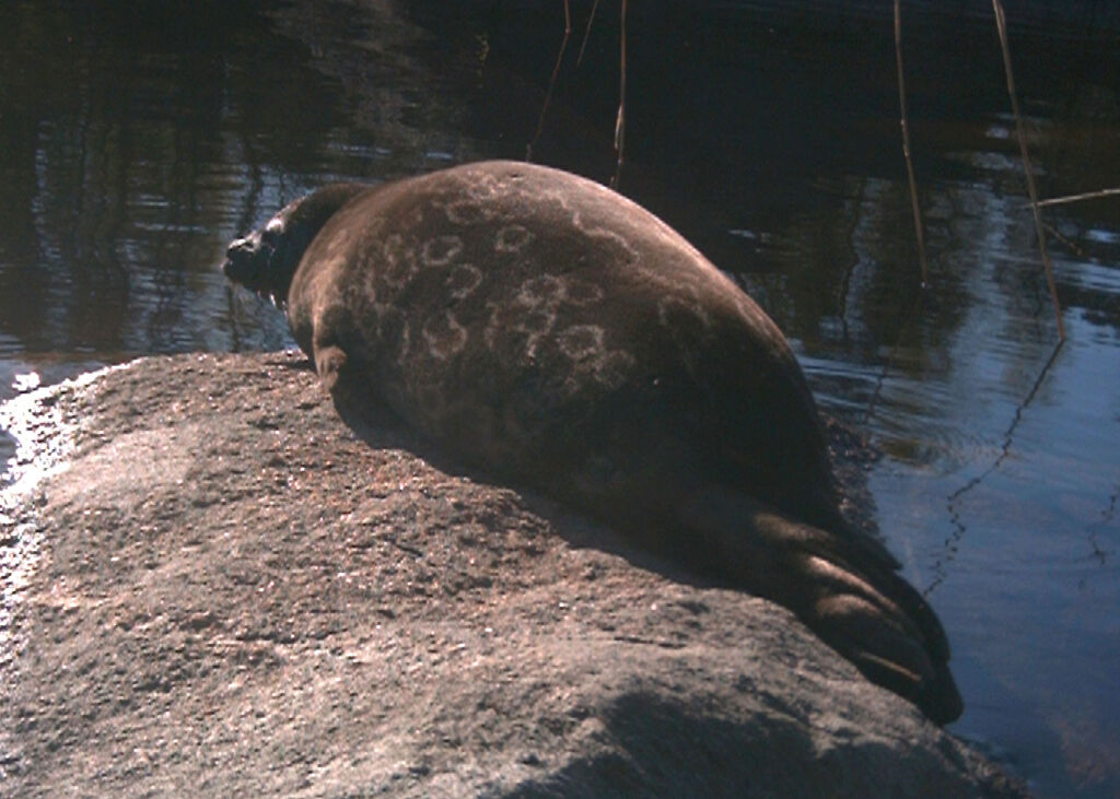 c4f3098e-8a72-4d0b-afda-6cc30b916d15