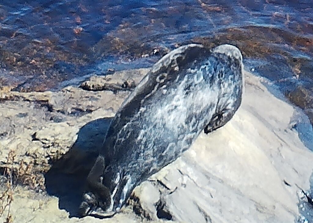 62488599-3b89-4102-82ae-6d70ef31bcac