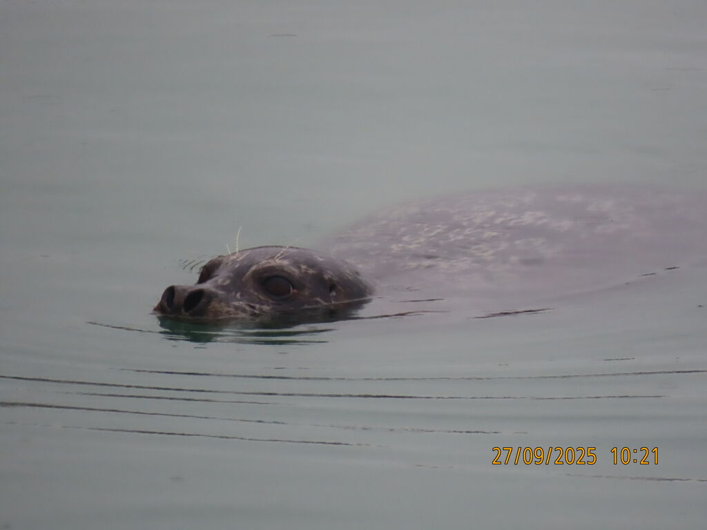 cc1cc0c6-cc5d-436b-8d5b-04676423b559