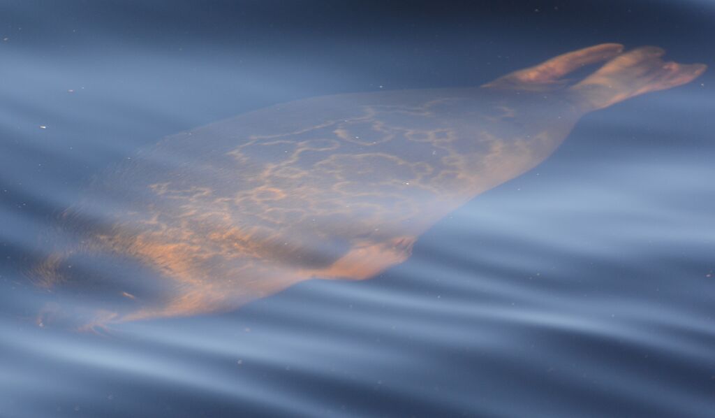 8ada792d-8eb8-473d-89e3-6373e2fe6639