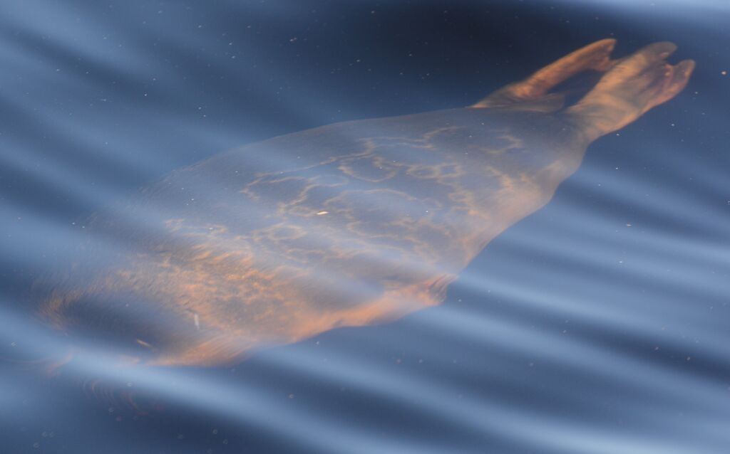 8ada792d-8eb8-473d-89e3-6373e2fe6639