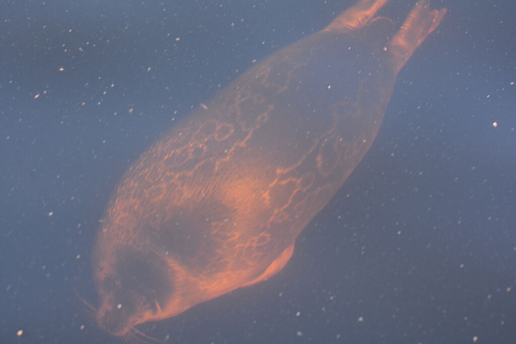 8ada792d-8eb8-473d-89e3-6373e2fe6639