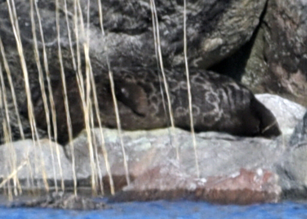 5ebd71cb-5c83-45fb-8b37-196f43a2322a