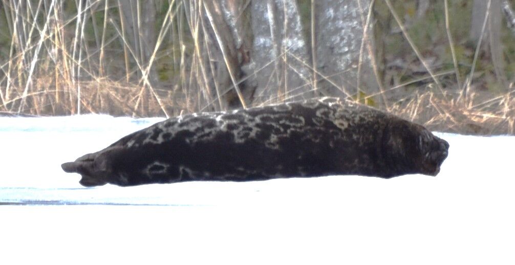 5ebd71cb-5c83-45fb-8b37-196f43a2322a