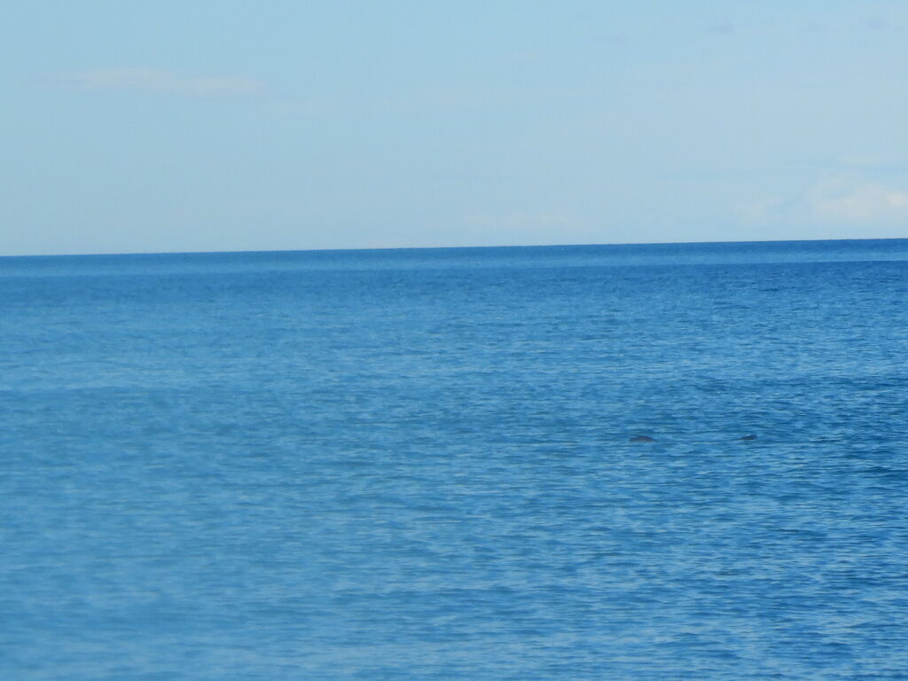 e5202301-9b95-47ca-bd14-335694a11806