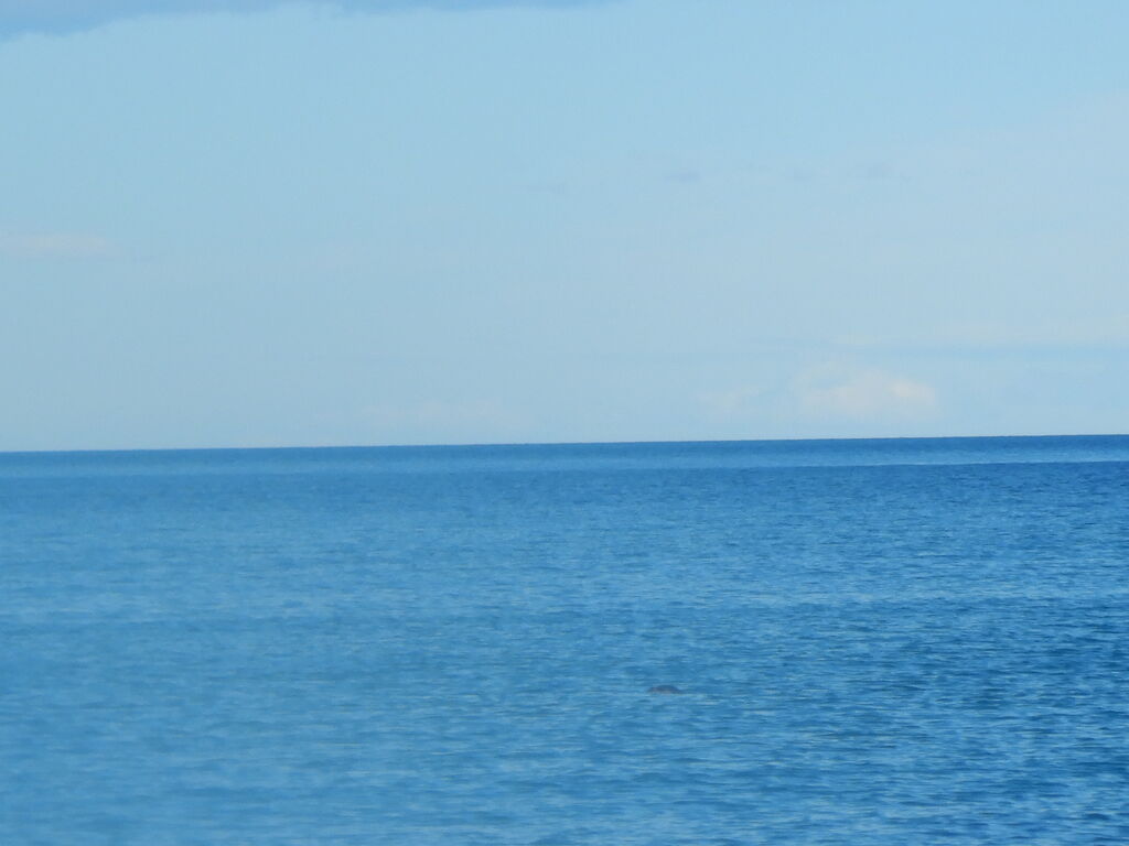 e5202301-9b95-47ca-bd14-335694a11806