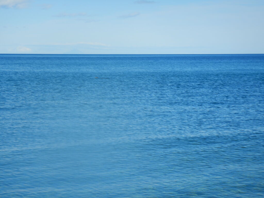 e5202301-9b95-47ca-bd14-335694a11806