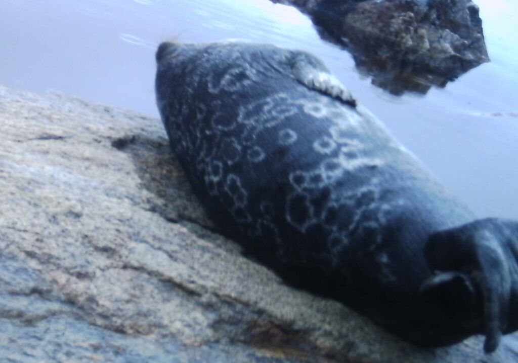 3521fedf-5a5b-4dbe-ac5b-8d96b9d0f67f