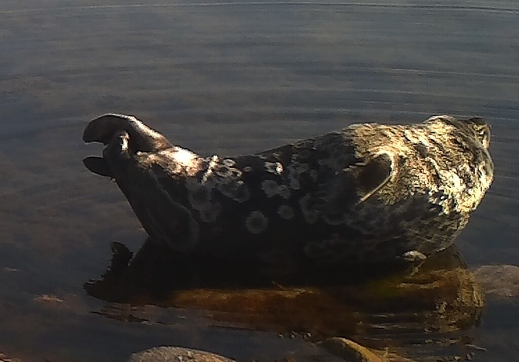 2aa64269-f47a-48b1-a90f-32f604993e4a