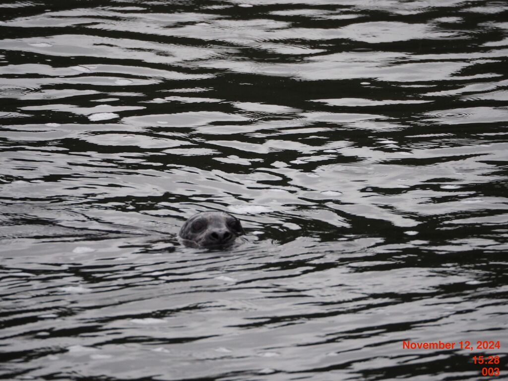 cc1cc0c6-cc5d-436b-8d5b-04676423b559