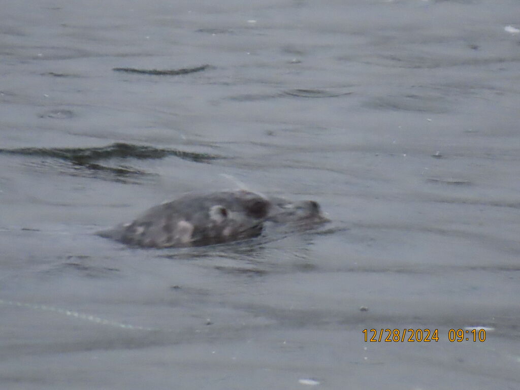 2efb039a-2cba-4545-983d-be7677ec516c