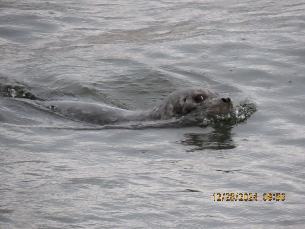 2efb039a-2cba-4545-983d-be7677ec516c