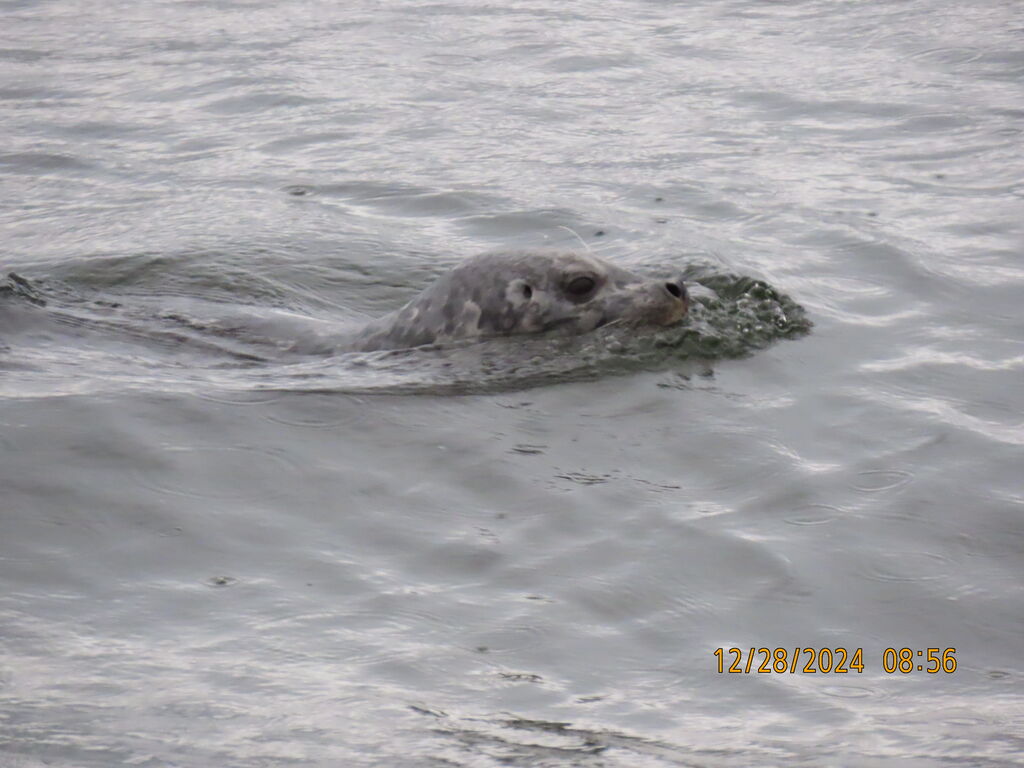 2efb039a-2cba-4545-983d-be7677ec516c