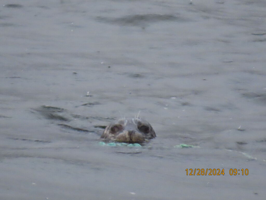 2efb039a-2cba-4545-983d-be7677ec516c