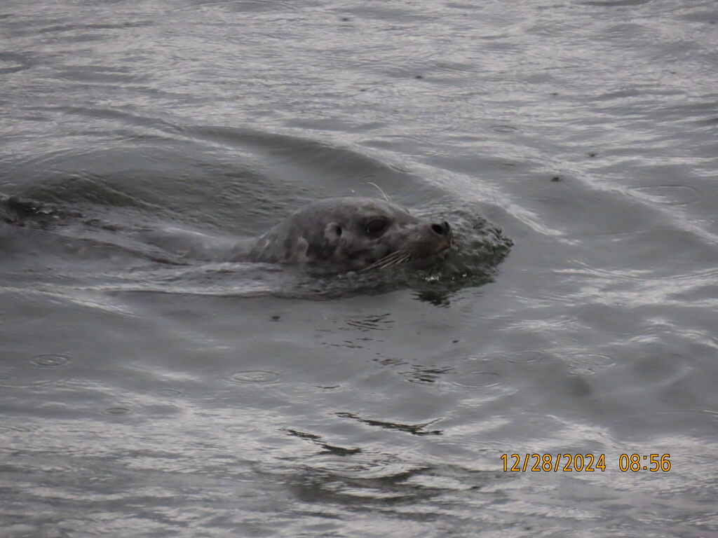 2efb039a-2cba-4545-983d-be7677ec516c