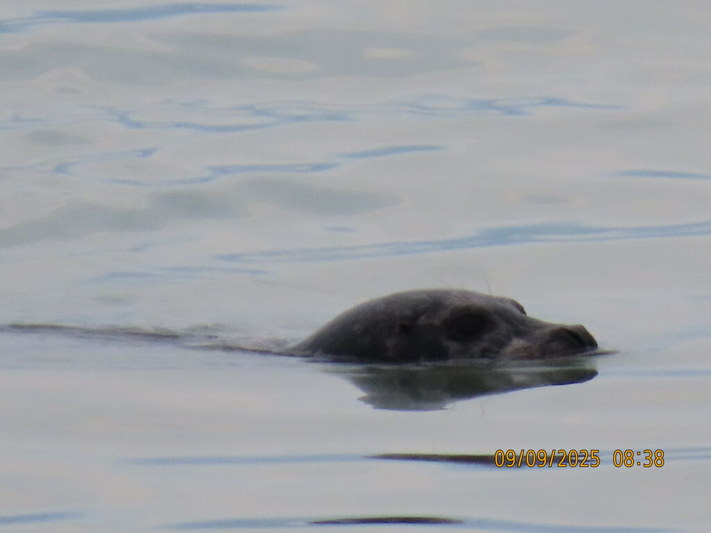 cc1cc0c6-cc5d-436b-8d5b-04676423b559