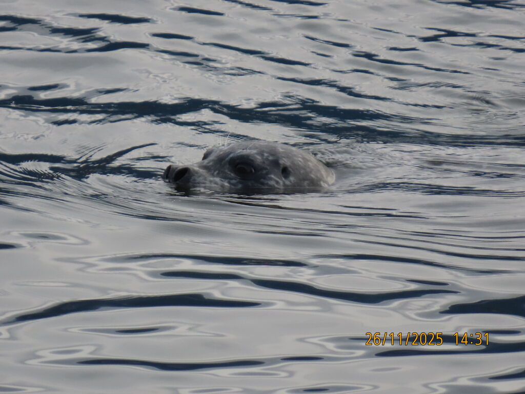 cc1cc0c6-cc5d-436b-8d5b-04676423b559