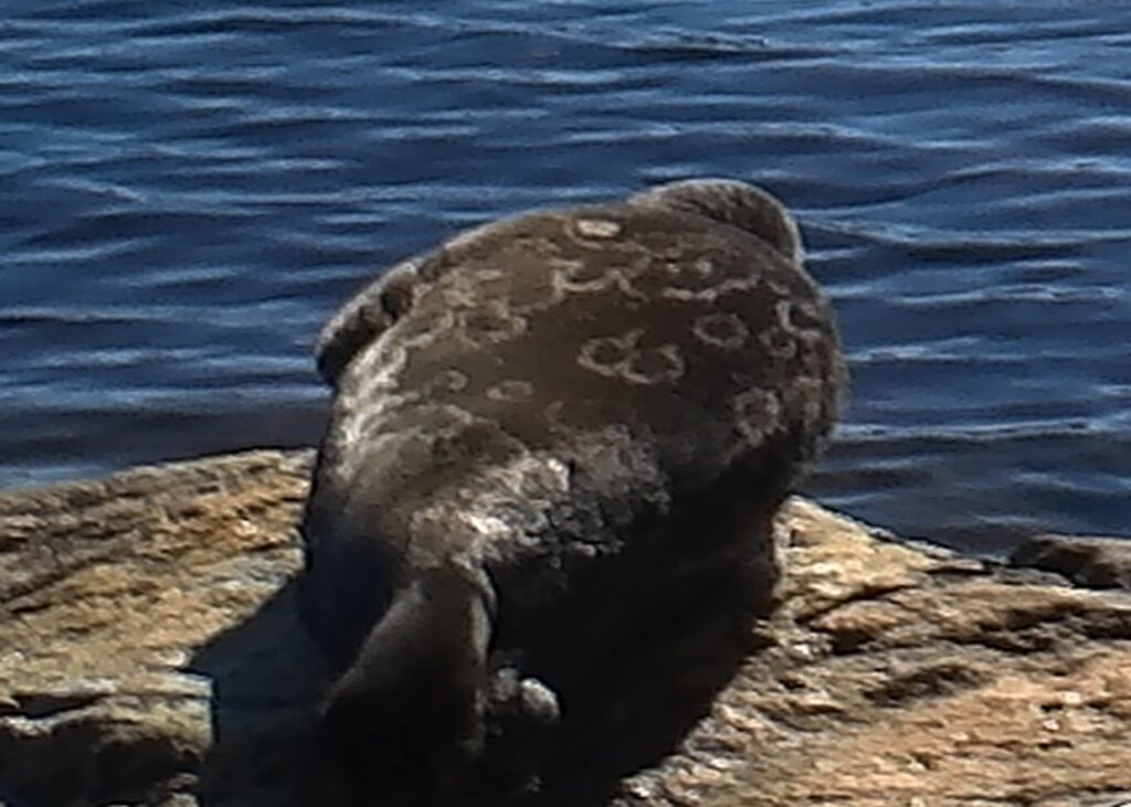 62488599-3b89-4102-82ae-6d70ef31bcac