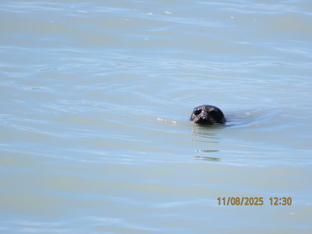 cc1cc0c6-cc5d-436b-8d5b-04676423b559