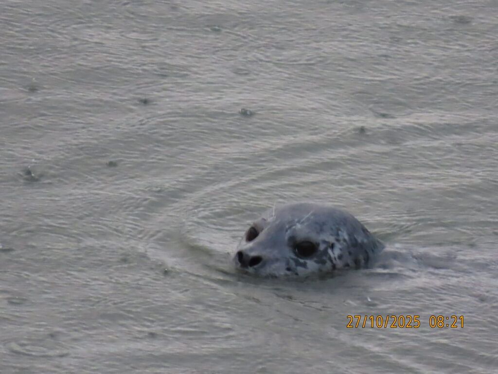 d0f710f0-fa93-4426-a71c-451b05ae202f