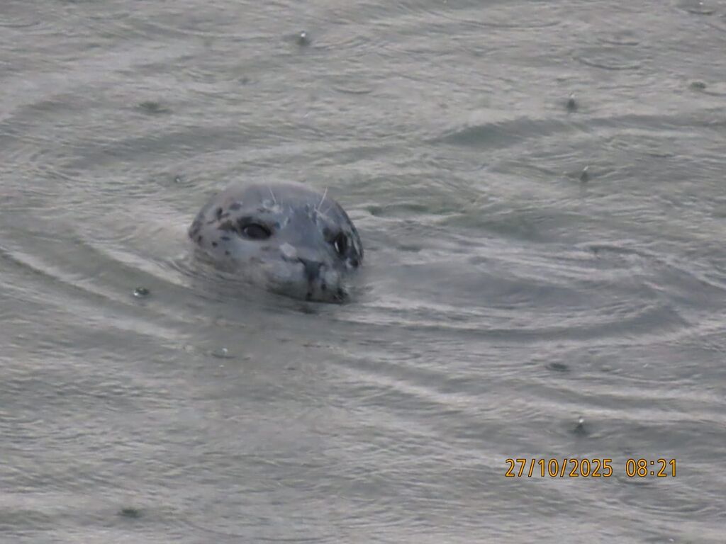 d0f710f0-fa93-4426-a71c-451b05ae202f